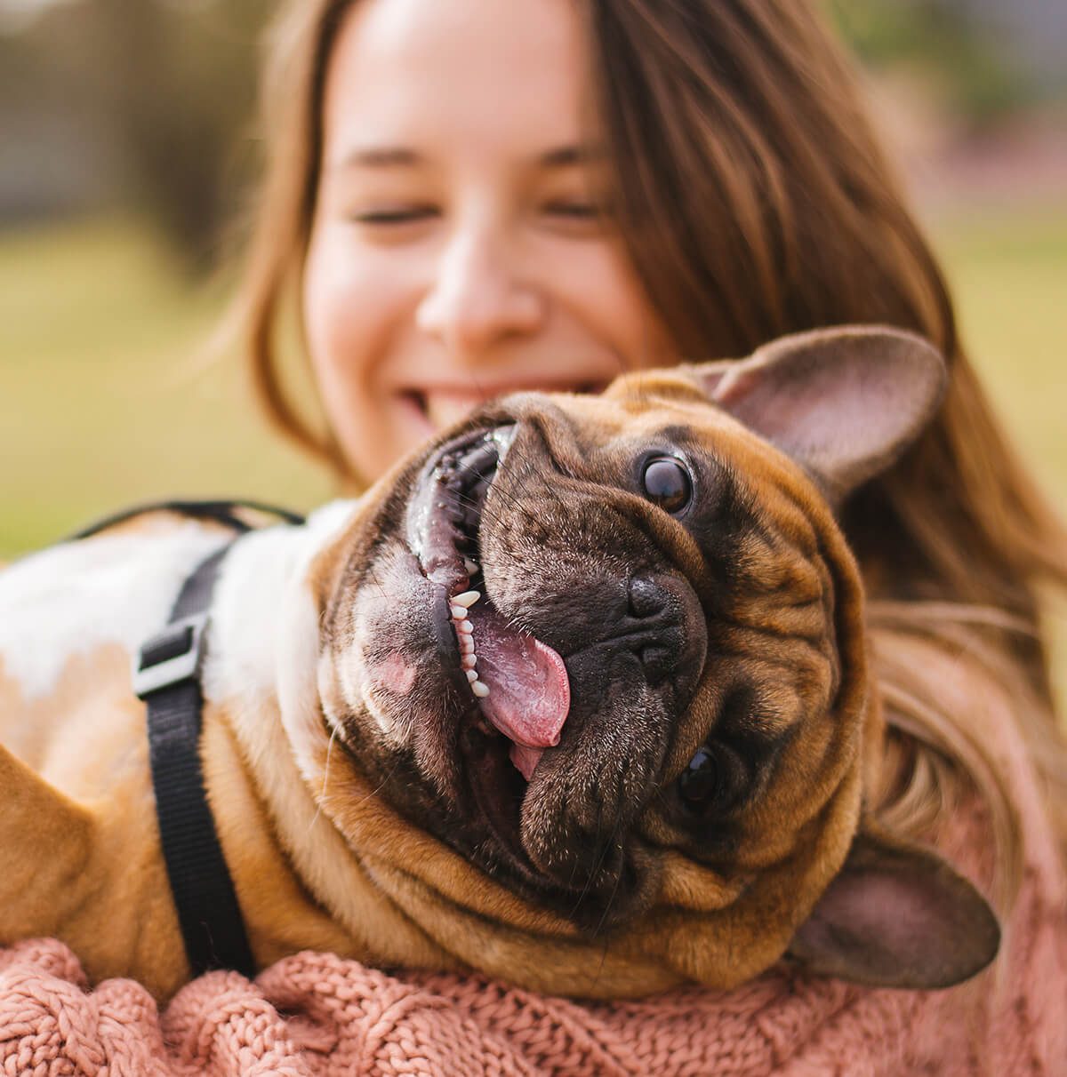 young-woman-holding-french-bulldog