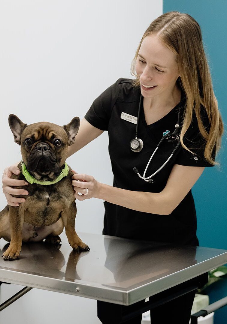 Doctor Jennifer West With French Bulldog