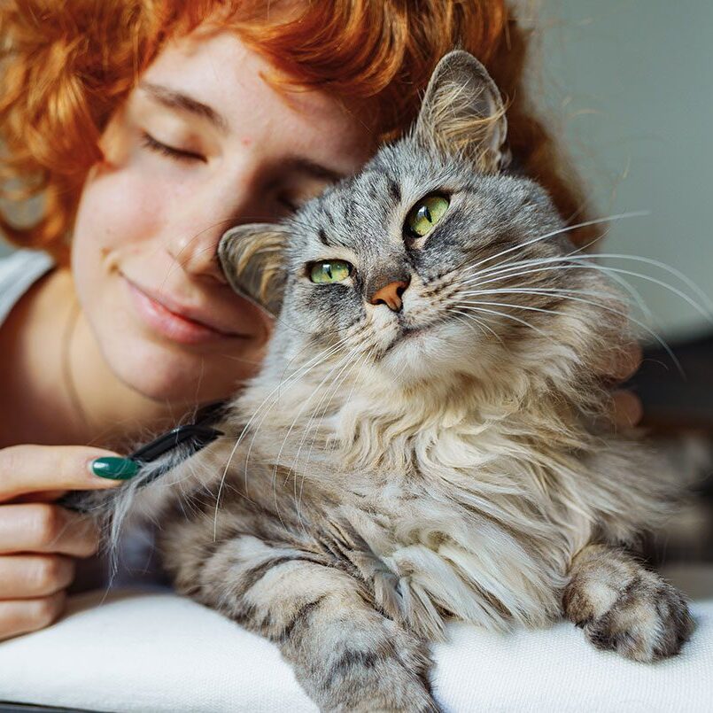 happy cat rubbing against owner's face