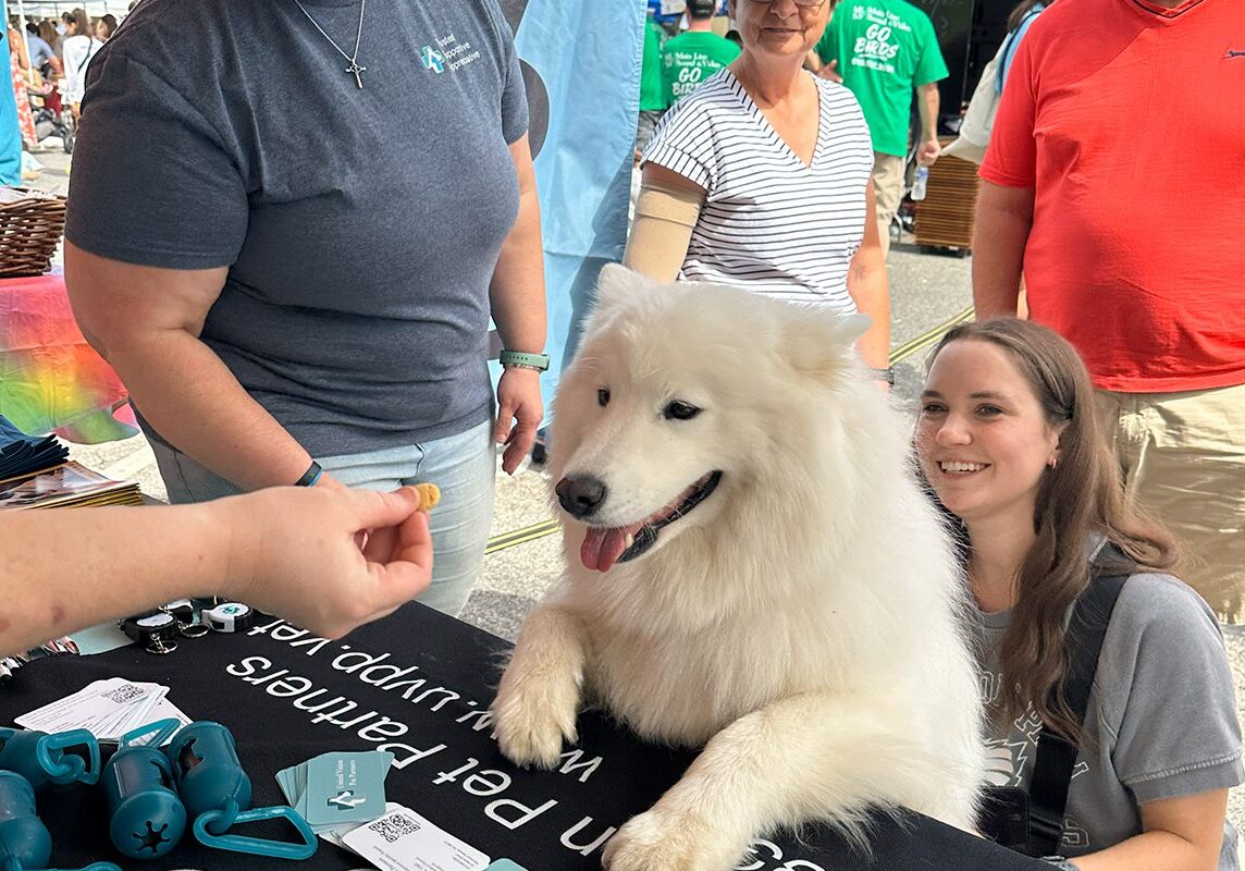 Fluffy White Dog Receiving Treat