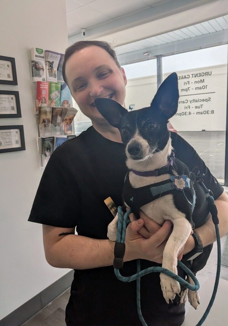 smiling person holding a small black and white dog