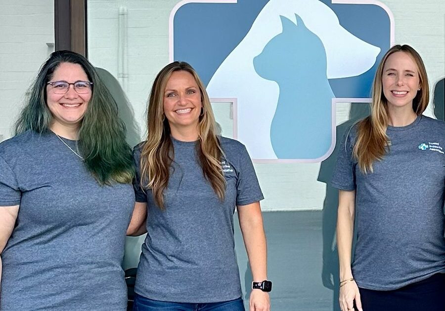 Three Staff Members Standing By Logo