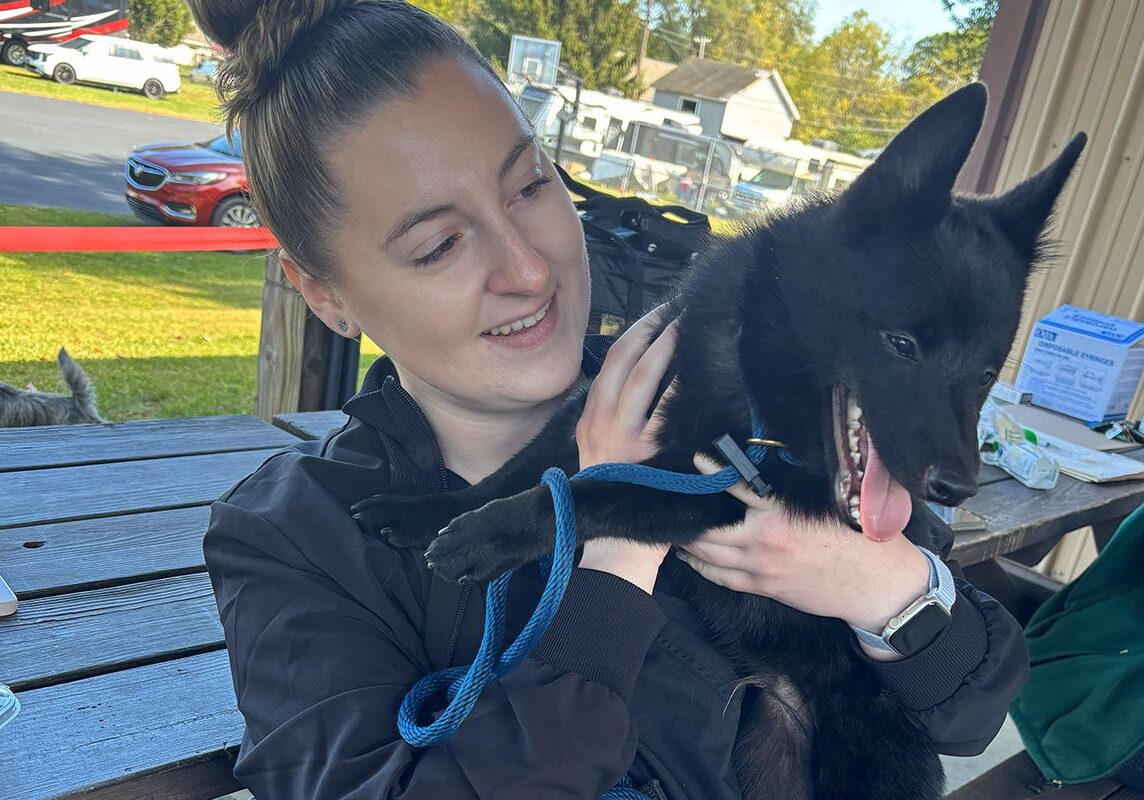 Vet Holding All Black Puppy
